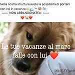 S' Orgiola Girasole