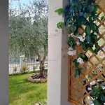 S' Orgiola Girasole