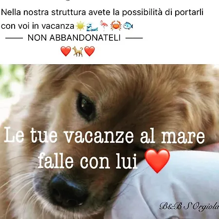 S' Orgiola Джиразоле