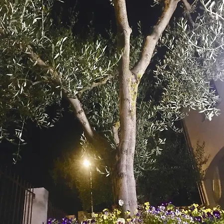 S' Orgiola Bed & Breakfast *