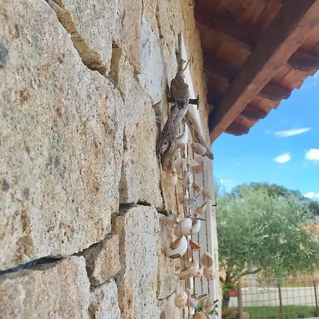 S' Orgiola 住宿加早餐酒店