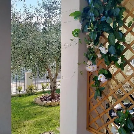 S' Orgiola Girasole