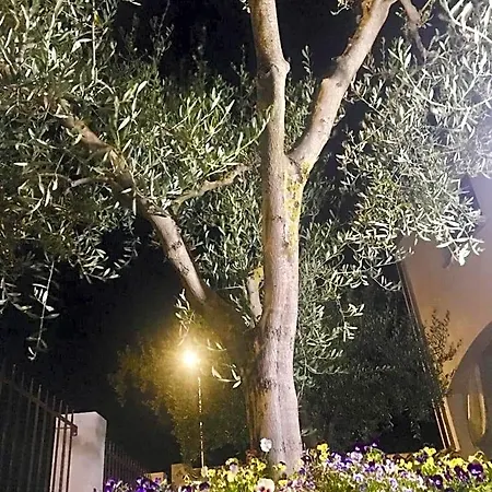 Bed & Breakfast S' Orgiola 3*