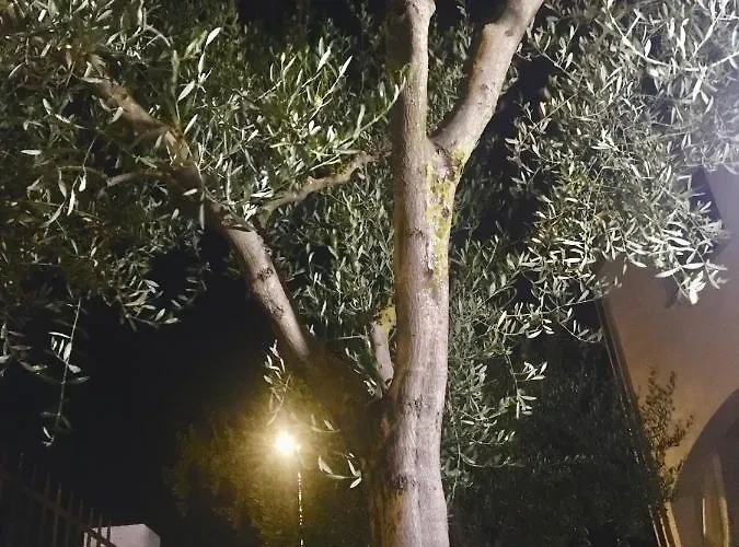 S' Orgiola ベッド・アンド・ブレックファスト 3*