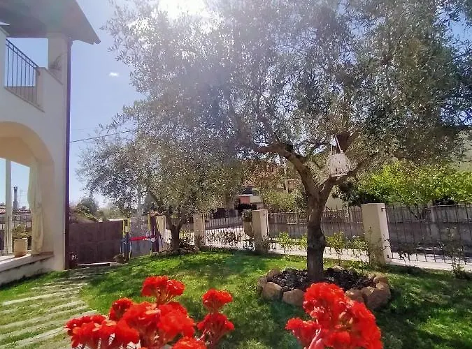 S' Orgiola ベッド・アンド・ブレックファスト